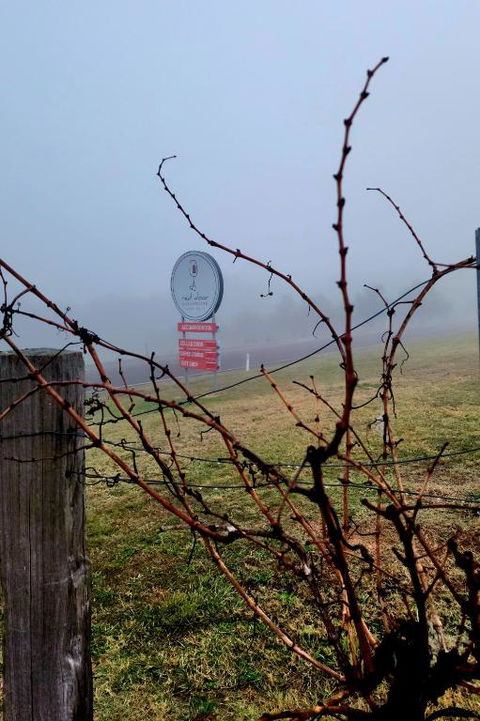 Red Door Collective - RDC Vineyard Estate, Luxury Adult Only Stay - Accommodation Brunswick Heads 3