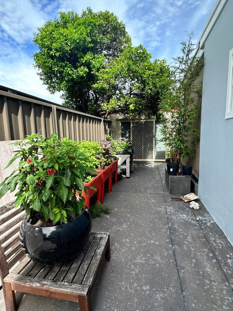 Private, Local Living Studio In Mascot, Airport - Accommodation Brunswick Heads 2