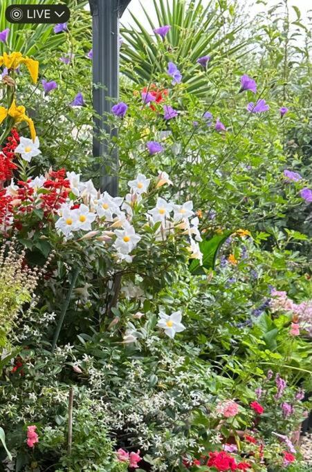 Quiet Comfort For Relaxing Stays - Accommodation Brunswick Heads 0