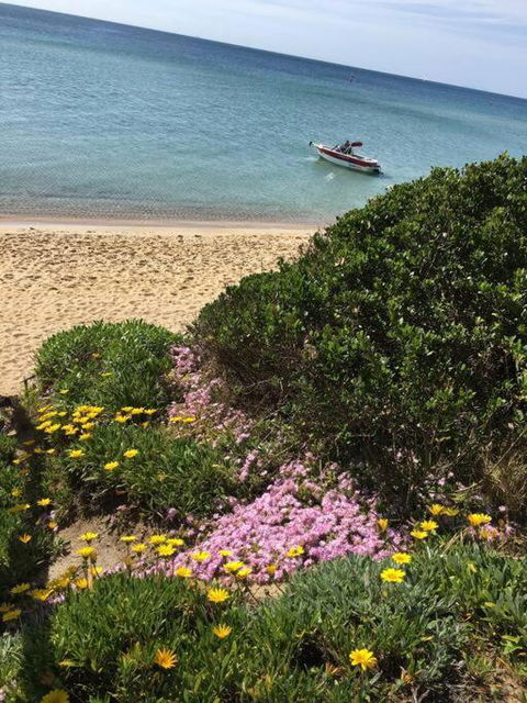 Quiet, Luxurious Guest House - Couples Retreat - Accommodation Brunswick Heads 1