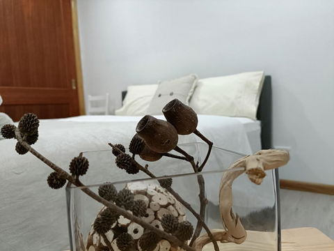 Quiet Nature-Filled Ground Floor Unit - Accommodation Brunswick Heads 1