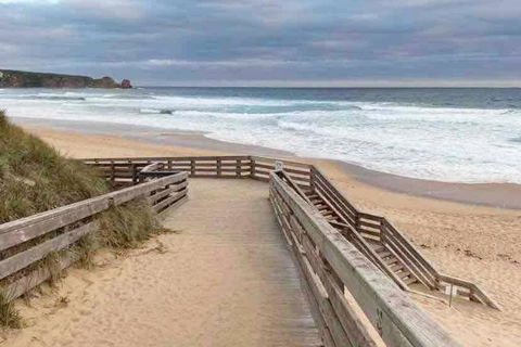 Racing Penguin Surf Grand Prix Walk Phillip Island - Accommodation Brunswick Heads 1