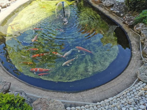 Attached Self Service Waterfront Whole Villa - Sydney - Accommodation Brunswick Heads 2