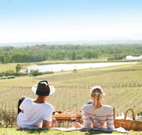 Audrey Wilkinson Vineyard - Accommodation Brunswick Heads