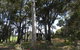 Augusta Chalet - thumb 2