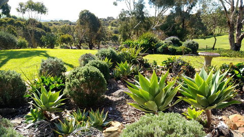 Austiny Bed And Breakfast Victor Harbor - Accommodation Brunswick Heads 2