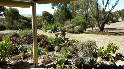 Austiny Bed And Breakfast Victor Harbor - Accommodation Brunswick Heads 3