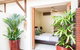 Bali Beach Villa - Port Douglas - thumb 0