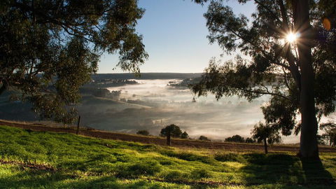Balingup Heights Hilltop Forest Cottages - Accommodation Brunswick Heads 0