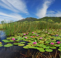 Barrington Hideaway- River Cottages - Accommodation Brunswick Heads