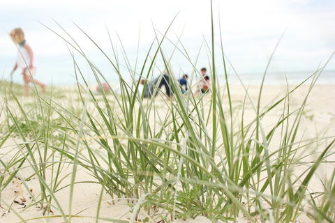 Beachfront At Bribie 2 Puppy Friendly - Accommodation Brunswick Heads 3