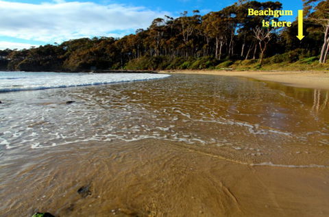 Beachgum - Accommodation Brunswick Heads 2