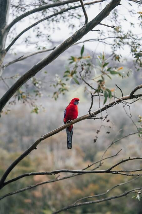 Riverside Cabin 18 Thredbo - Accommodation Brunswick Heads 1