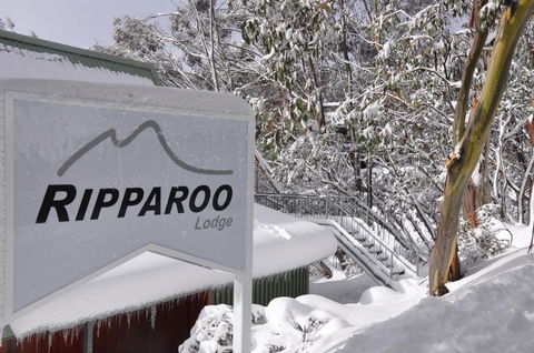 Ripparoo Lodge - Accommodation Brunswick Heads 0