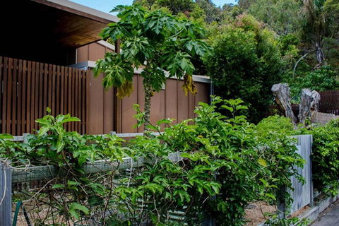 Sand Dweller Holiday Villa Point Lookout - Accommodation Brunswick Heads 1
