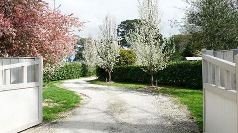 Robin Hill Manor - Accommodation Brunswick Heads 2