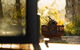 Romantic Luxury Tiny Home In An Idyllic Setting - thumb 2