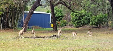 Roo Or 2 On Streeter - Accommodation Brunswick Heads 0