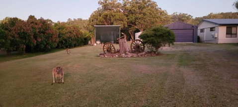 Roo Or 2 On Streeter - Accommodation Brunswick Heads 2