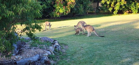 Roo Or 2 On Streeter - Accommodation Brunswick Heads 3