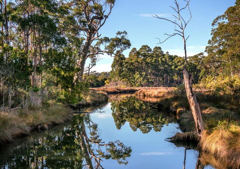 Saintys Creek Cottage - Accommodation Brunswick Heads 3
