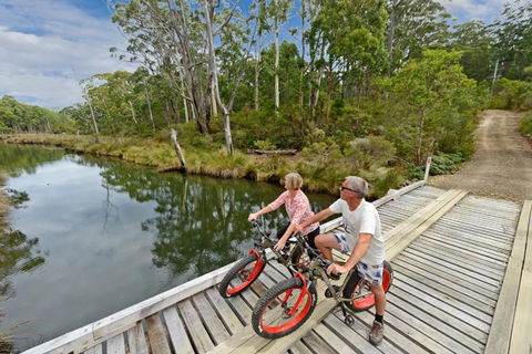 Saintys Creek Cottage - Accommodation Brunswick Heads 2
