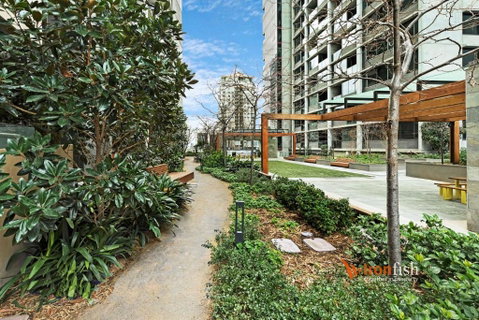 Sakura Apartment - Accommodation Brunswick Heads 3