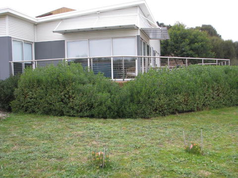 Sandbar Beach House - Accommodation Brunswick Heads 3