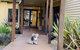 Sandpiper Motel Apollo Bay - thumb 3