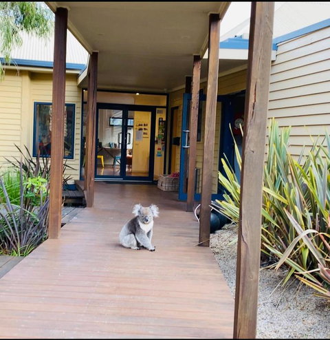 Sandpiper Motel Apollo Bay - Accommodation Brunswick Heads 3