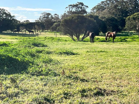 Secluded Rural Retreat In Southwest WA - Accommodation Brunswick Heads 3
