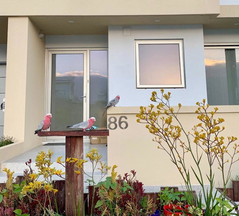 Sorrento Bluewater Apartment - Accommodation Brunswick Heads 2