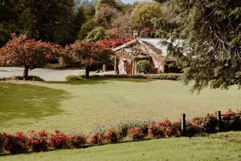 The Cherry Blossom Suite - Accommodation Brunswick Heads 3