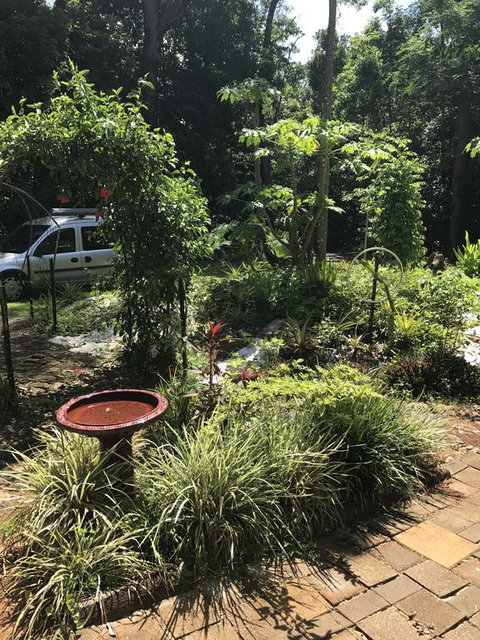 Bellarose Guest House - Accommodation Brunswick Heads 1