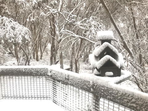 Belltrees - Accommodation Brunswick Heads 1