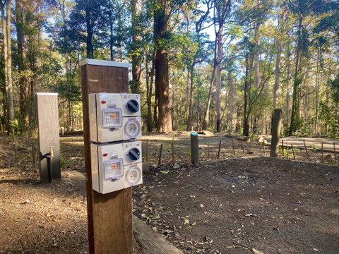 Binna Burra Rainforest Campsite - Accommodation Brunswick Heads 1