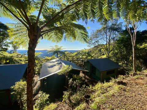 Binna Burra Rainforest Campsite - Accommodation Brunswick Heads 2