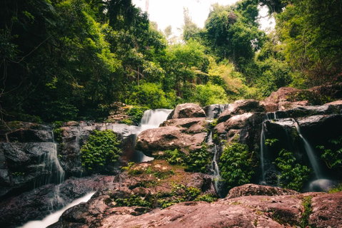 Binna Burra Rainforest Campsite - Accommodation Brunswick Heads 3