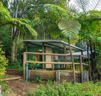 Binna Burra Rainforest Campsite - Accommodation Brunswick Heads