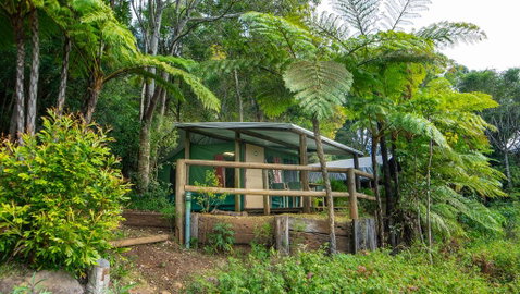 Binna Burra Rainforest Campsite - Accommodation Brunswick Heads 0