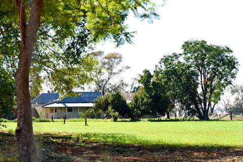 The Jetty Hut - Lake Frontage Barmera Riverland - Accommodation Brunswick Heads 2