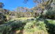 The Lavender Patch - thumb 3