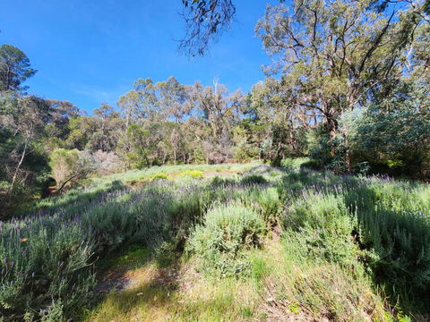 The Lavender Patch - Accommodation Brunswick Heads 3
