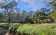 The Lavender Patch - thumb 2