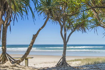 Whalesong with Accommodation Brunswick Heads