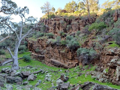 Spear Creek Holiday Park - Accommodation Brunswick Heads 3