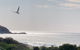 Zenergy - Architectural Oasis, South Blueys Beach - thumb 3