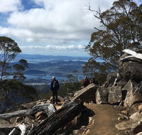 kunanyi / Mt Wellington Explorer Bus - 2 Hour Return Tour - Accommodation Brunswick Heads