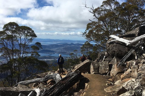 Kunanyi / Mt Wellington Explorer Bus - 2 Hour Return Tour - Accommodation Brunswick Heads 0