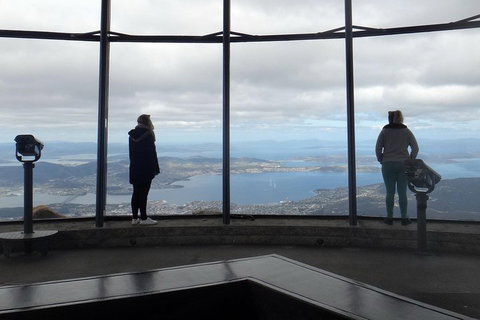 Kunanyi / Mt Wellington Explorer Bus - 2 Hour Return Tour - Accommodation Brunswick Heads 1